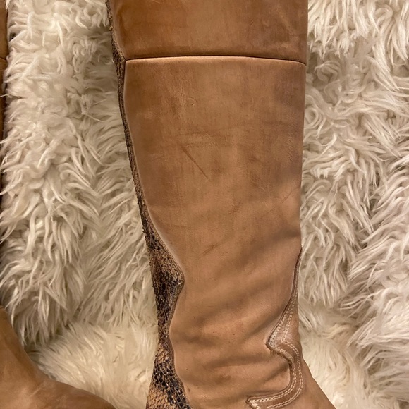 CALGARY Freebird by Steven - Picture 5 of 13